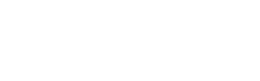 STAY HOMES